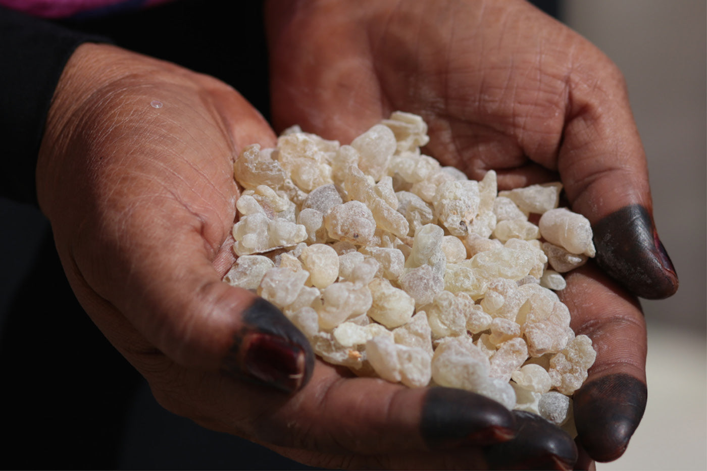 Frankincense: The Anti-Aging Wonder - Neal's Yard Remedies