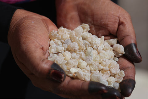 Frankincense: The Anti-Aging Wonder