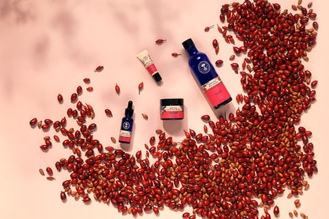 Introducing New Wild Rose Skincare