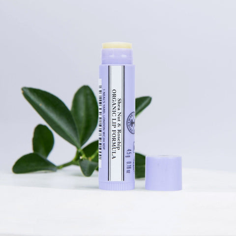 Neal's Yard Remedies' Shea Nut and Rosehip Organic Lip Formula  on a white table with green leaves  in the background.