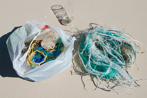 Easy ways to make a huge impact this #WorldEnvironmentDay