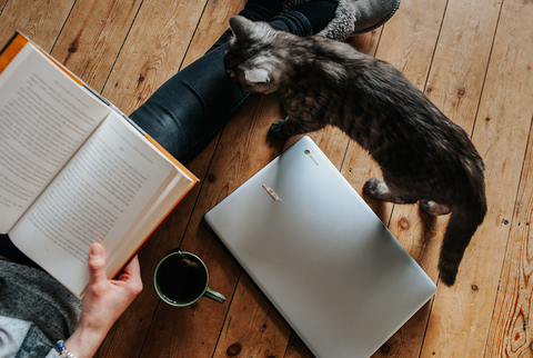 How to unwind after a demanding school year