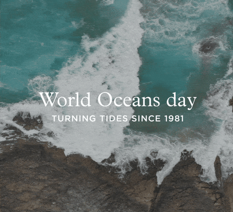 World Oceans Day – Turning tides since 1981