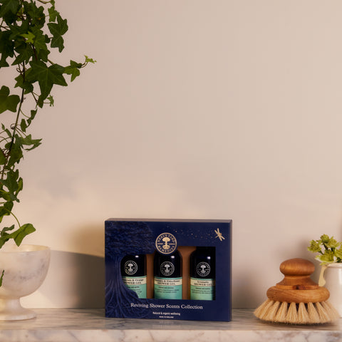 Reviving Shower Scents Collection - Christmas 2023