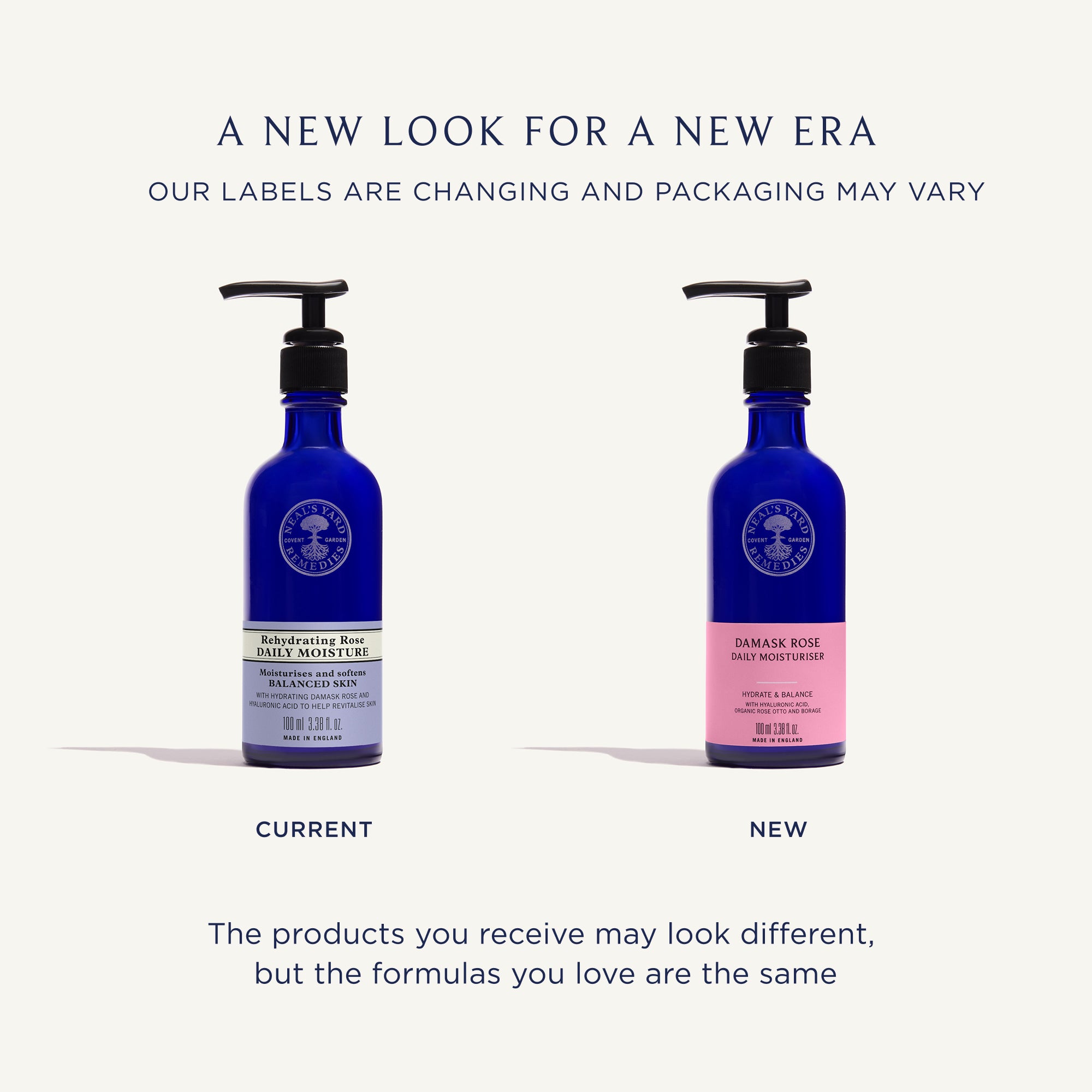 Shop Rehydrating Rose Daily Moisture – Neal's Yard Remedies