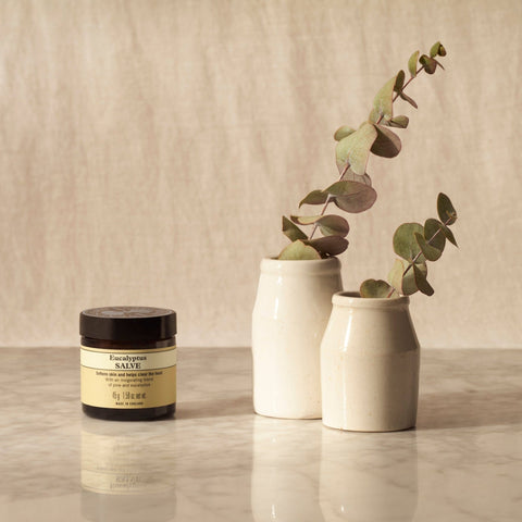 Eucalyptus Salve 45g