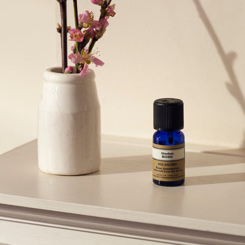Neals Yard Remedies Rose Absolute Organic Essential Oil Front Product Shot Beside a rose plant in a white ceramic pot