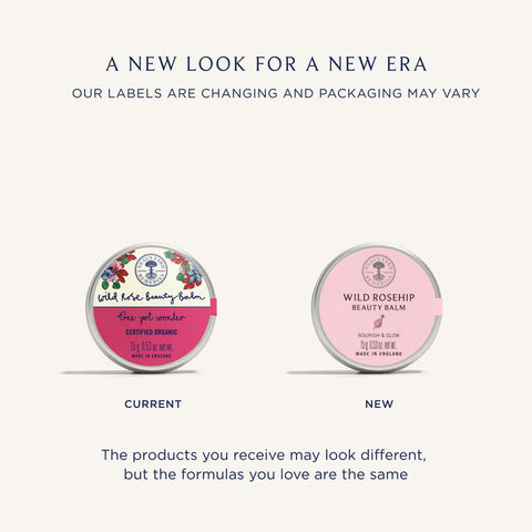 Wild Rosehip Beauty Balm (Tin) 15g