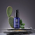 Men's Age Defying Moisturizer with cactus and stone background